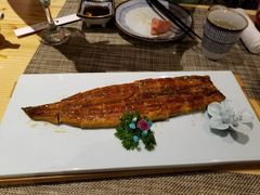 -吉之仙•中国制造•出口级食材日料店(领事馆总店)