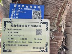 -西双版纳总佛寺
