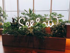 -Seesaw Coffee(朝阳大悦城店)