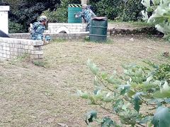 -滨江森林公园-真人CS野战场