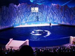 -珠海长隆海洋王国