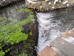 -水磨沟公园