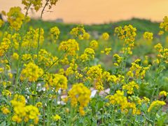 -西南政法大学(渝北校区)