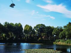 -金银湖国家城市湿地公园