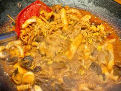 -红辣椒八爪鱼特色韩国料理