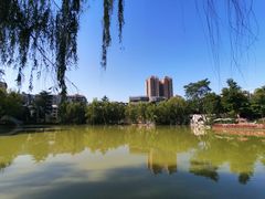 -西安市长乐公园