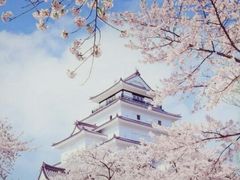 -樱花国际日语(徐家汇中心)