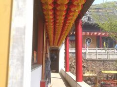 -龙寺生态园