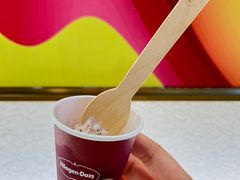 覆盆子布朗尼炫炫脆-哈根达斯(万象城店)
