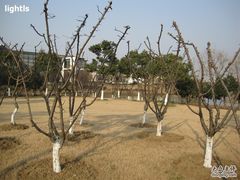 -白塘生态植物园