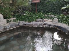 -中家鑫园温泉酒店鑫悦汤泉