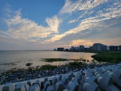 -碧海金沙