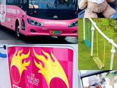 -东钱湖旅游度假区