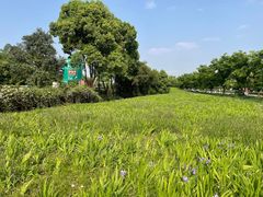 -白鹭湾湿地公园