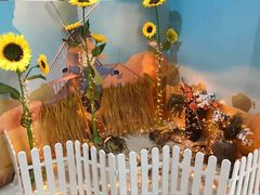 -能量学院少儿体能运动馆(公园1872店)