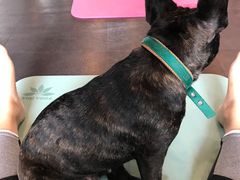 -舞佳舞空中瑜伽馆