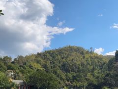 -西双版纳原始森林公园