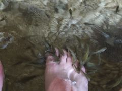 -明谷行馆·温泉