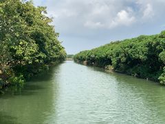 -大湾区中央湿地公园