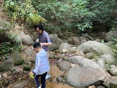 -火炉山森林公园