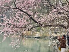 -北京大学百年讲堂