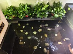 -兰亭茶叙(新新家苑店)