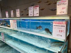 水产区-盒马鲜生(帝斯曼店)