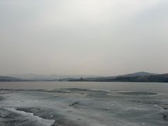 -吉野家(锦辉商城黄河路店)