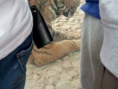 -五龙山野生动物王国
