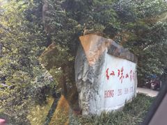 -明升萝卜汤