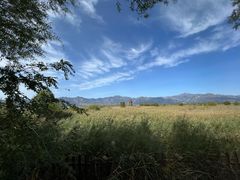 -野鸭湖国家湿地公园