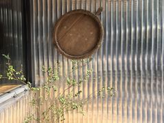 -出走咖啡·面包(宋庄店)