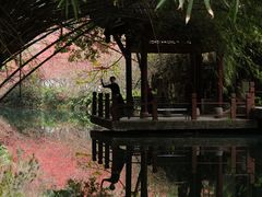 -棠湖公园
