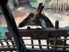 -长鹿旅游休博园