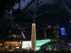 -爱雍·乌节