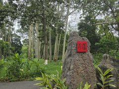-广西壮族自治区药用植物园