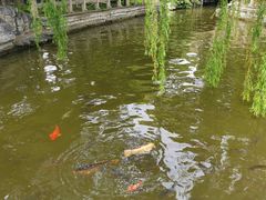 -济南大明湖景区