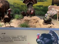 -武汉园博园(武汉自然博物馆)