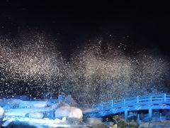 -禅宗少林·音乐大典