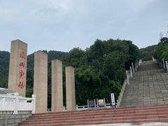 -铁山坪森林公园