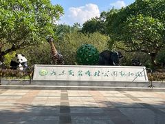 -广东茂名森林公园