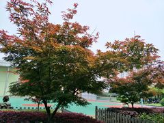 -上海市曹杨职业技术学校