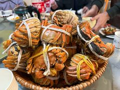 -巴城阳澄湖小芳农家乐