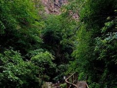 -九龙潭景区