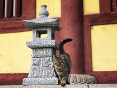 -四门塔风景区