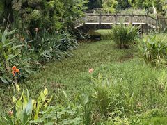 -张坝桂圆林公园