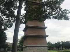 -平安（深圳）金融教育培训中心