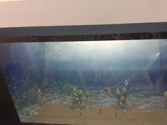 -辽宁古生物博物馆