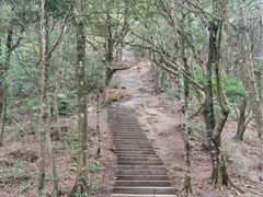 -梧桐山风景名胜区