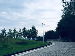 -北京张裕爱斐堡酒庄